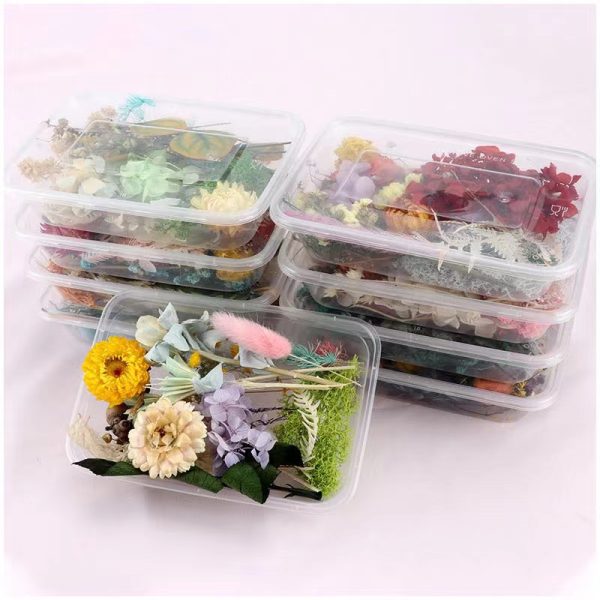 High-Quality Preserved Natural Dried Flowers for Candle Making - Image 3