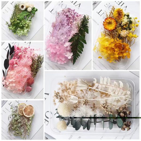 High-Quality Preserved Natural Dried Flowers for Candle Making - Image 4