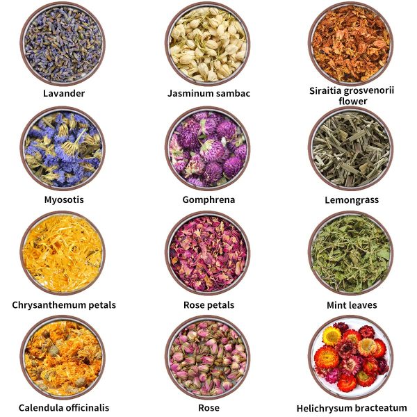 High-Quality Preserved Natural Dried Flowers for Candle Making - Image 16