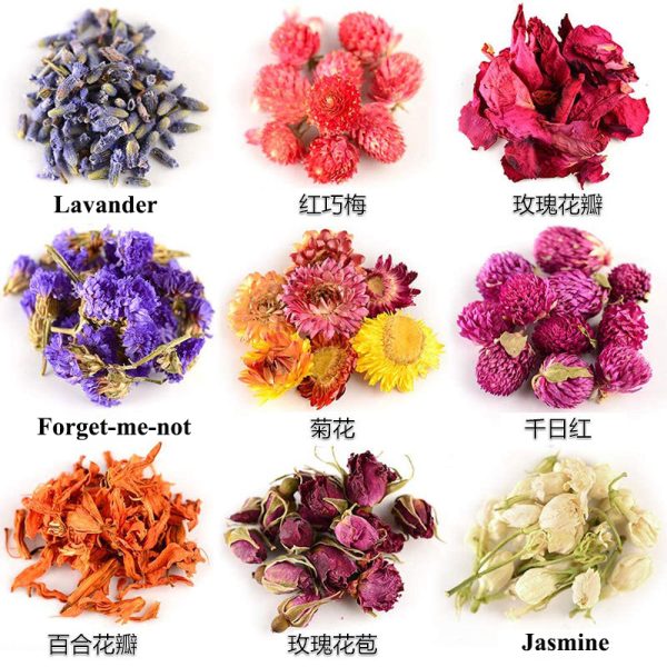 High-Quality Preserved Natural Dried Flowers for Candle Making - Image 18