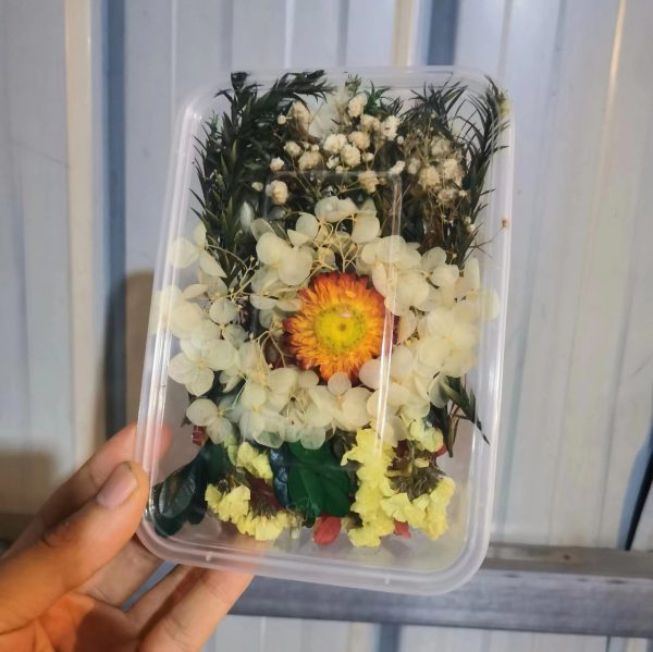 High-Quality Preserved Natural Dried Flowers for Candle Making - Image 5