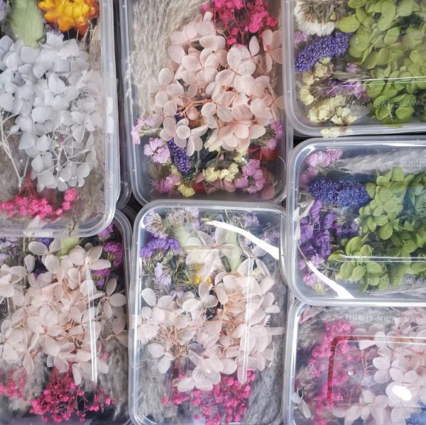 High-Quality Preserved Natural Dried Flowers for Candle Making - Image 8