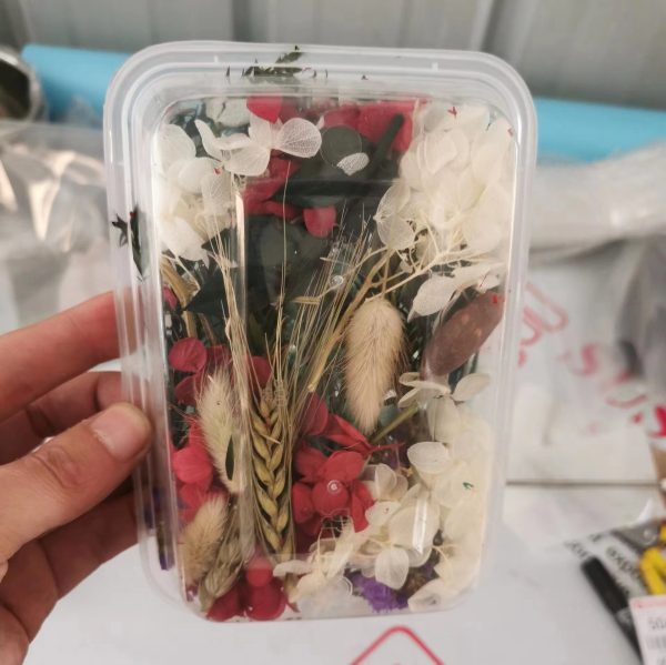 High-Quality Preserved Natural Dried Flowers for Candle Making - Image 9