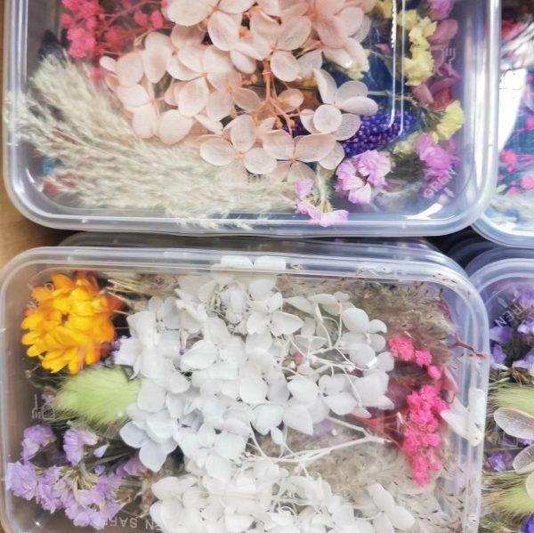High-Quality Preserved Natural Dried Flowers for Candle Making - Image 10