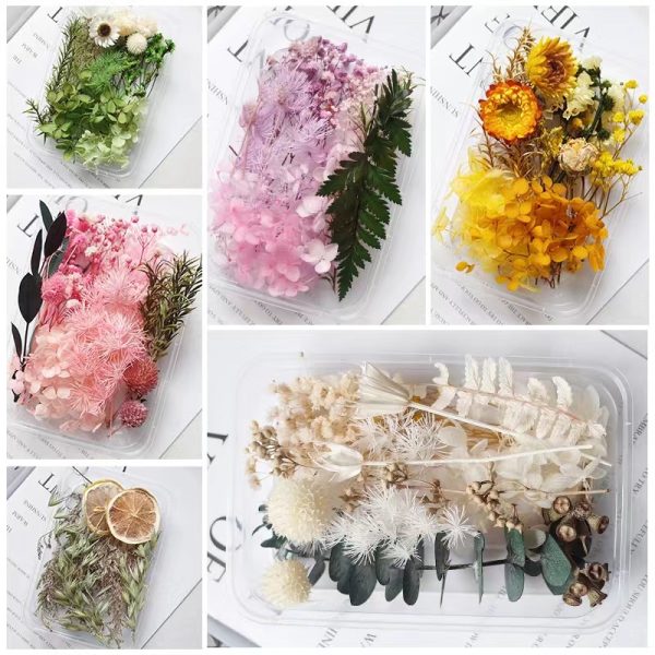 High-Quality Preserved Natural Dried Flowers for Candle Making - Image 7
