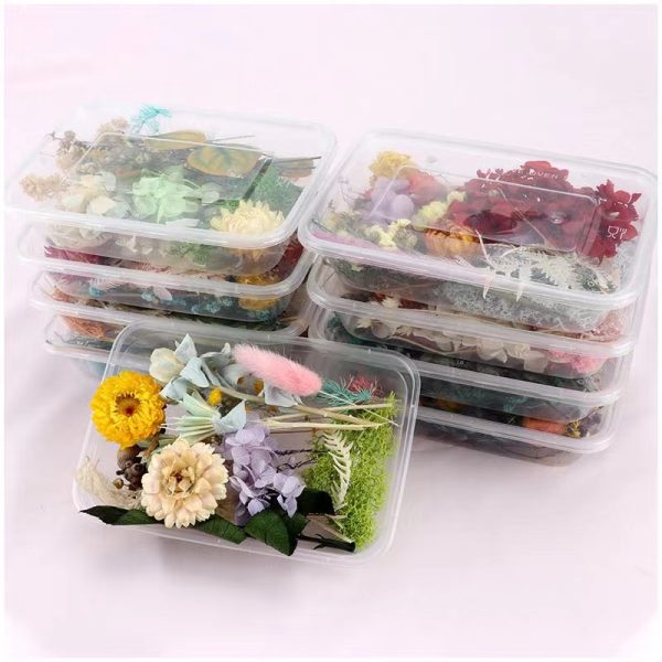 High-Quality Preserved Natural Dried Flowers for Candle Making - Image 11